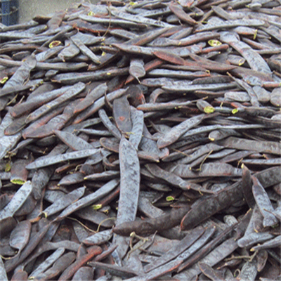 皂角洗头的危害 皂角洗头的方法