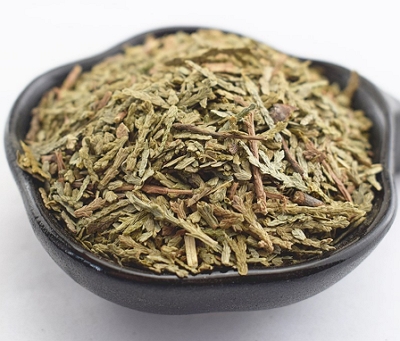 侧柏叶泡水喝禁忌 四个禁忌要注意