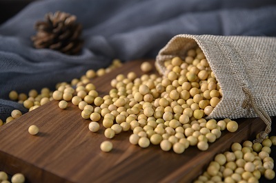 根治白头发2个民间偏方