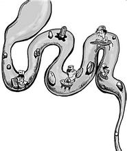 肠道疾病的原因有哪些