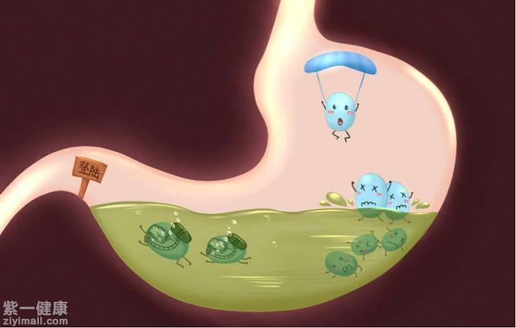 益生菌多少钱一盒 益生菌的价格是多少