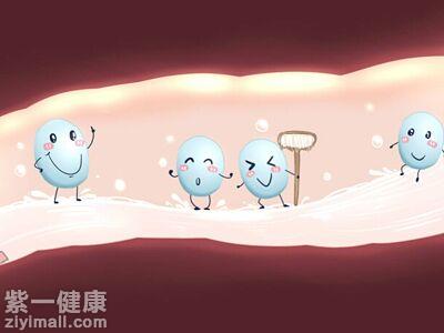 益生菌什么时候吃效果好 带你认识益生菌的四大功能