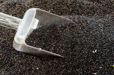 吃黑米必知6大禁忌 你需要细细了解一下