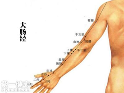 大肠经有哪些作用 3点大肠经作用你不得不知