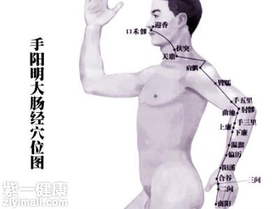 大肠经在哪里 详解大肠经穴位图