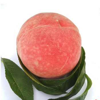 西瓜不能和什么一起吃 这七种食物忌与西瓜同食