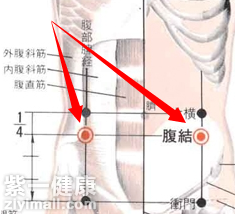 腹结穴位位置图 找不到穴位没关系看图便知