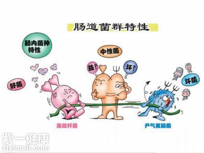 肠道菌群失调怎样治疗  了解三大方面快速解决