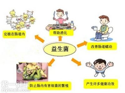【揭秘】益生菌是什么东西