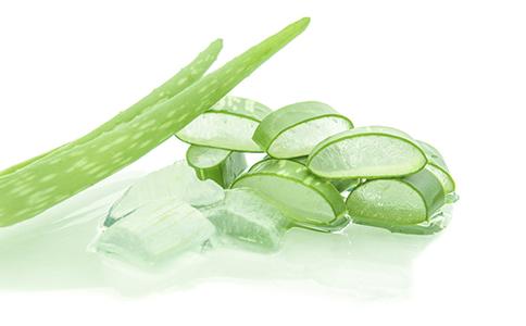 芦荟怎么吃 盘点芦荟的六种吃法