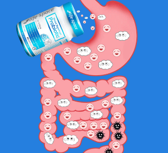 益生菌 益生菌