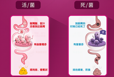 155384738427418102.png image.png