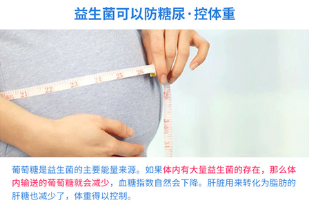 益生菌价格和功效 益生菌价格和功效