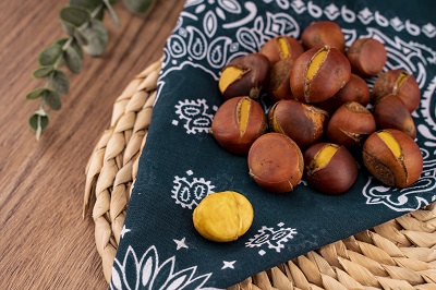 栗子为什么不能凉着吃 食用栗子的注意事项