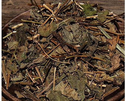 鱼腥草生长在哪里 鱼腥草这些地方最容易见到