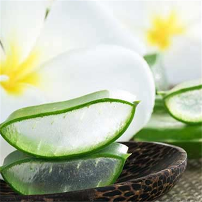 库拉索芦荟的作用有哪些 这四大作用需知晓