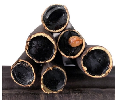 大解果的功效与作用 盘点大解果的3大功效