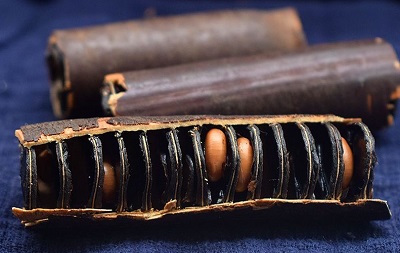 便秘果怎么使用 便秘果的三种使用方法