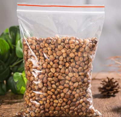 吃了巴豆有什么样的经历 曝光吃巴豆腹泻的原因