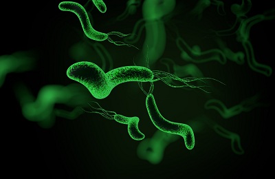 教你几招自测幽门螺杆菌 可自测身体是否有这三个反应